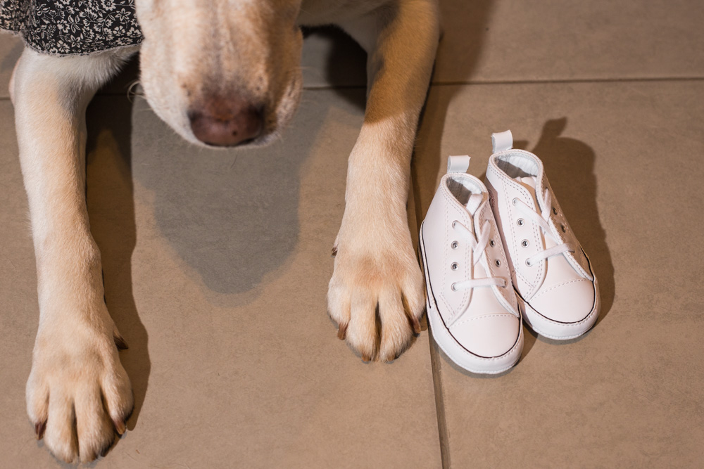 Book Gestante em Casa com Pet - gestante 10