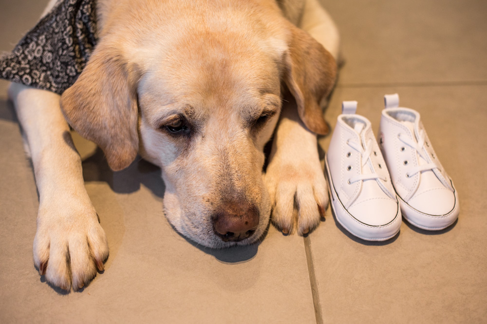 Book Gestante em Casa com Pet - gestante 11