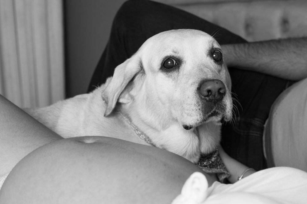 Book Gestante em Casa com Pet - gestante 6