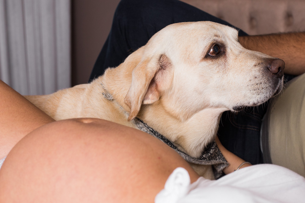 Book Gestante em Casa com Pet - gestante 7